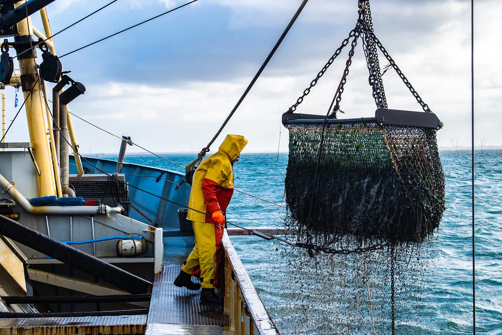 моряк рибак контролює підйом тенет з рибою морепродуктами